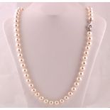 Single String Pearl Necklace of Good Hue and Uniform Size with Fitted 18 Carat Gold Clasp