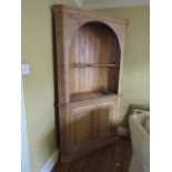 Victorian Irish Pine Corner Cabinet with Dome Insert Decoration and Doors Apron