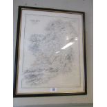 Victorian Hand Coloured Map of Ireland in Ebony Frame 23 Inches High x 18 Inches Wide
