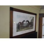 Framed Fine Art Lithograph of Two Horses in Pastoral Landscape 22 Inches High x 34 Inches Wide