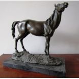 Bronze Sculpture of Horse on Rectangular Marble Base Approximately 14 Inches Wide x 14 Inches High