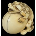 ˜A JAPANESE IVORY NETSUKE OF A SHISHI, LATE EDO PERIOD, CIRCA 1780 hugging a huge ball with a