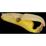 ˜A JAPANESE IVORY OKIMONO OF A SMALL BANANA, SHOWA PERIOD, CIRCA 1930 naturalistically carved with