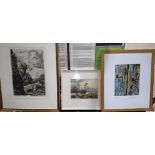 R Howey: Tarn Hows, water colour, signed; M Halsted, limited edition print; an Edwardian etching
