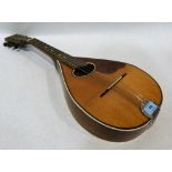 A mandolin