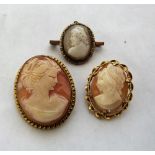 Three shell cameo brooches