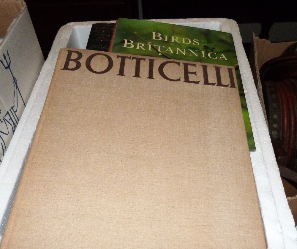 A box of books including a volume on Sandro Botticelli, The Phaidon Press