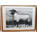 SEREN BELL. Bn 1950 Sheep in a landscape. Pen and ink. 21½'' x 30½''