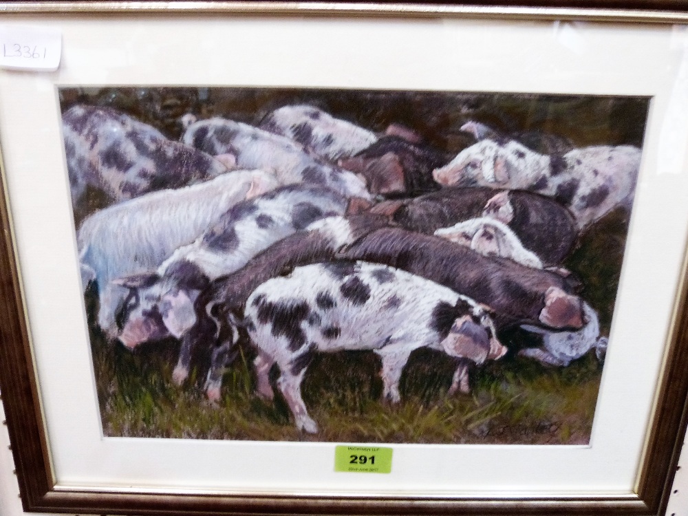 LESLEY CONNOLLY A.R.B.S.A: Piglets. Signed. Pastel 9'' x 13''