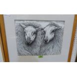 SEREN BELL. Bn 1950 Two Welsh sheep. Pen and ink. 11' x 14''