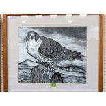 SEREN BELL. Bn 1950 Peregrine falcon in a landscape. Pen and ink. 15'' x 18''