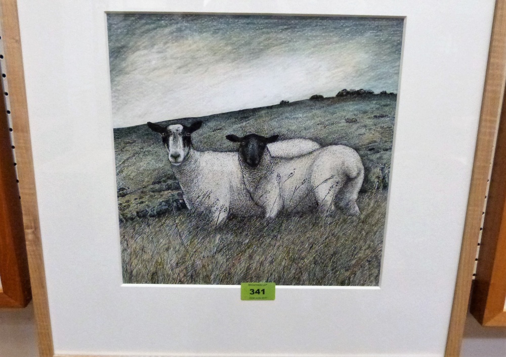 SEREN BELL. Bn 1950 Sheep in a downland landscape. Pen, ink and other media. 11¼'' x 11¼''