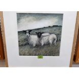 SEREN BELL. Bn 1950 Sheep in a downland landscape. Pen, ink and other media. 11¼'' x 11¼''