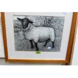 SEREN BELL. Bn 1950 A Suffolk ram. Pen and ink. 10½'' x 14''