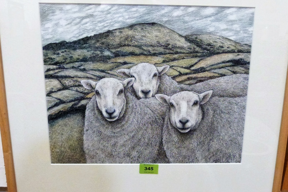SEREN BELL. Bn 1950 Three sheep in a Radnorshire landscape. Pen, ink and other media. 12'' x 15''