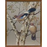 * RALSTON GUDGEON RSW (SCOTTISH 1910 - 1984), BIRDS ON BRANCHES watercolour,