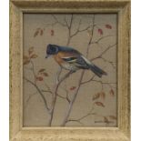 * RALSTON GUDGEON RSW (SCOTTISH 1910 - 1984), BRAMBLE WARBLER gouache on hessian linen, signed 29.