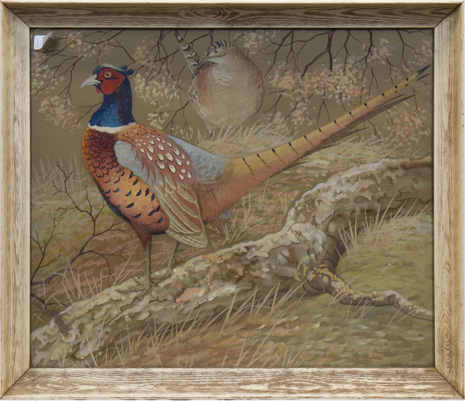 * RALSTON GUDGEON RSW (SCOTTISH 1910 - 1984), PHEASANTS gouache on paper,