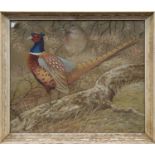 * RALSTON GUDGEON RSW (SCOTTISH 1910 - 1984), PHEASANTS gouache on paper,