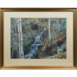 * JOHN BAXTER FLEMING RSW (SCOTTISH 1912 - 1986), FOREST watercolour on paper, signed 47cm x 64.