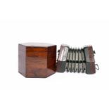 19TH CENTURY ROCK CHIDLEY ROSEWOOD HEXAGONAL CONCERTINA with fret cut ends, dyed ivory pegs,