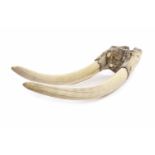 EARLY 20TH CENTURY WALRUS SKULL AND TUSK the 35.5cm long tusks set in partial skull, 49.