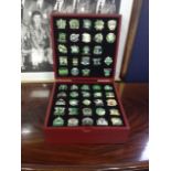 CELTIC FOOTBALL CLUB 'VICTORY PIN' COLLECTION by The Danbury Mint,