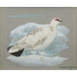 * RALSTON GUDGEON RSW (SCOTTISH 1910 - 1984), SNOW BIRD gouache on paper,