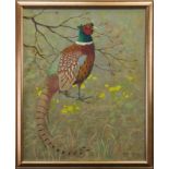 * RALSTON GUDGEON RSW (SCOTTISH 1910 - 1984), PHEASANT gouache on paper,