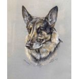 JANET MCGLOUGHLIN, Study of the German Shepherd Gregory, signed , inscribed and dated 1978, pastel