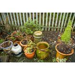 A COLLECTION OF MISCELLANEOUS TERRACOTTA AND OTHER GARDEN POTS, the majority planted; together