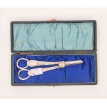 A CASED SHEFFIELD SILVER GRAPE SCISSORS