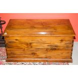 A HEAVY RECTANGULAR LIFT TOP CAMPHOR WOOD CHEST, with heavy brass carrying handles on a moulded