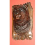 A LATE NINETEENTH CENTURY CARVED BLACK FOREST BEAR TROPHY HEAD,