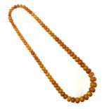 A NECKLACE OF 77 AMBER BEADS 127.6g ++++