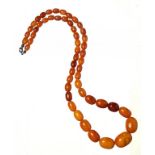 A NECKLACE OF 51 AMBER BEADS 36.7g