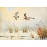 •†ARTHUR PASS, 20TH CENTURY PHEASANT; WOODCOCK; SNIPE a set of four, all signed, watercolour, 34 x