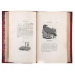 BEWICK (THOMAS) A HISTORY OF BRITISH BIRDS, 1826 8vo, [sixth edition] two vols, large paper, wood