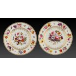 A PAIR OF DERBY PLATES, C1820 attractively painted with flower sprays and insects, 20.5cm diam,