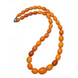 A NECKLACE OF 39 AMBER BEADS 24g