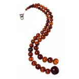 A NECKLACE OF 55 AMBER BEADS 23.5g ++++