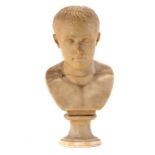 AN ALABASTER BUST OF NAPOLEON BONAPARTE, 19TH C on turned socle, 32cm h ++Head broken off at neck