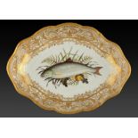 A FINE DERBY ICHTHYOLOGICAL DESSERT DISH, C1810 painted with a salmon, probably by Thomas Tatlow,