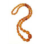 A NECKLACE OF 49 AMBER BEADS 38.7g ++++