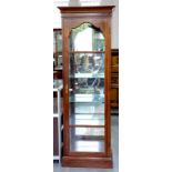 A GEORGE III STYLE MAHOGANY CABINET WITH GLAZED FULL LENGTH DOOR AND SIDES, THE SWEPT CORNICE 63CM