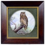 A DERBY DECORATED PORCELAIN PLATE, PAINTED BY S D NOWAKI, SIGNED, WITH AN OWL PERCHED ON A STUMP,