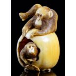 A JAPANESE IVORY NETSUKE OF TWO MONKEYS WITH A PERSIMMON FRUIT, SIGNED MASATAMI, NAGOYA SCHOOL,