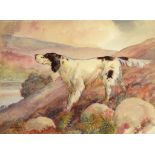 †R W MCINTYRE, 1940 SETTER; POINTER a pair, both signed and dated, watercolour, 25 x 33.5cm (2) ++