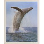 SIR PETER SCOTT, PEGASUS HUMPBACK WHALE, REPRODUCTION, PRINTED IN COLOUR, SIGNED BY THE ARTIST IN