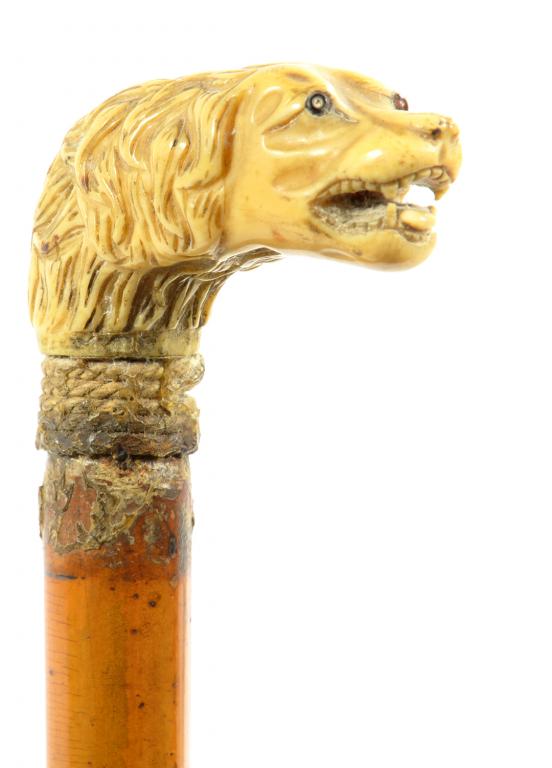 A MALACCA CANE, WITH CARVED BONE DOG'S HEAD HANDLE, BRASS TIP, 89CM